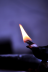 Profile picture for user यशोधरा